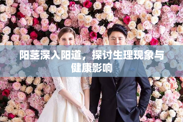 阳茎深入阳道，探讨生理现象与健康影响