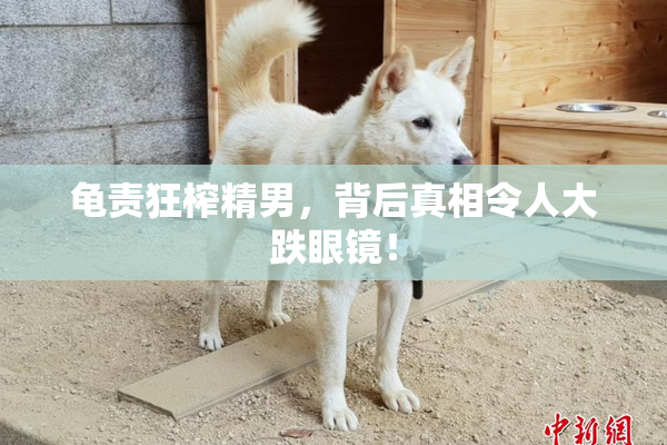 龟责狂榨精男，背后真相令人大跌眼镜！