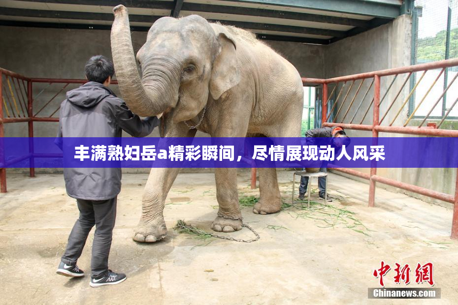 丰满熟妇岳a精彩瞬间，尽情展现动人风采