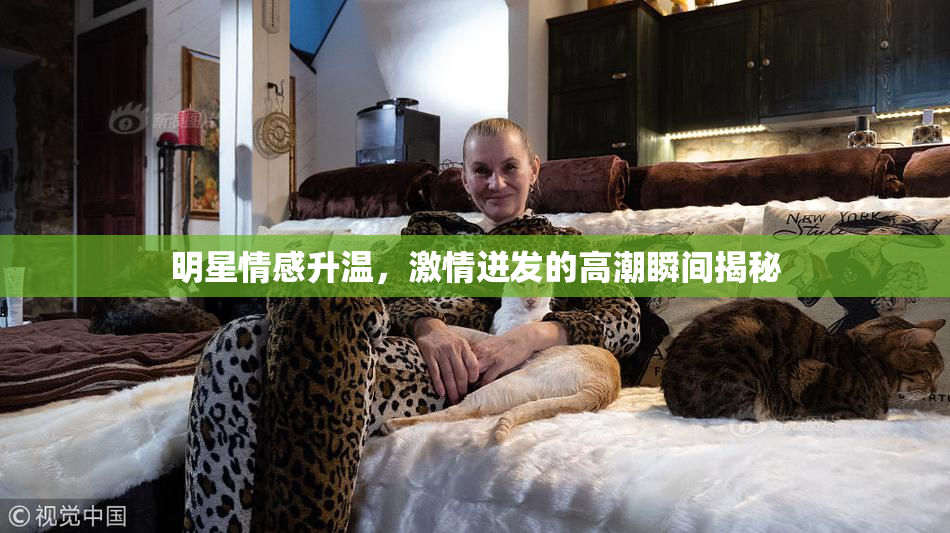 明星情感升温，激情迸发的高潮瞬间揭秘