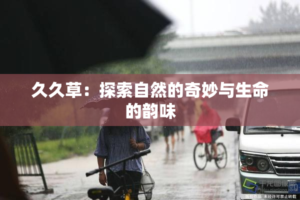 久久草：探索自然的奇妙与生命的韵味