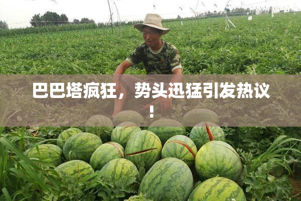 巴巴塔疯狂，势头迅猛引发热议!