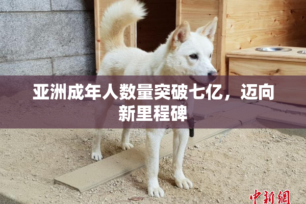 亚洲成年人数量突破七亿，迈向新里程碑