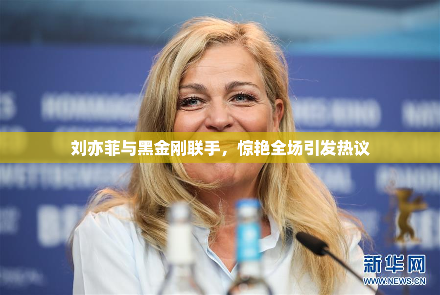 刘亦菲与黑金刚联手，惊艳全场引发热议