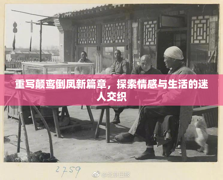 重写颠鸾倒凤新篇章，探索情感与生活的迷人交织