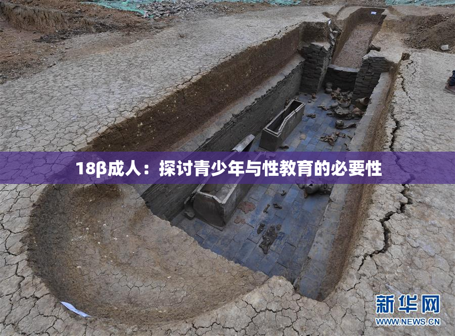 18β成人：探讨青少年与性教育的必要性