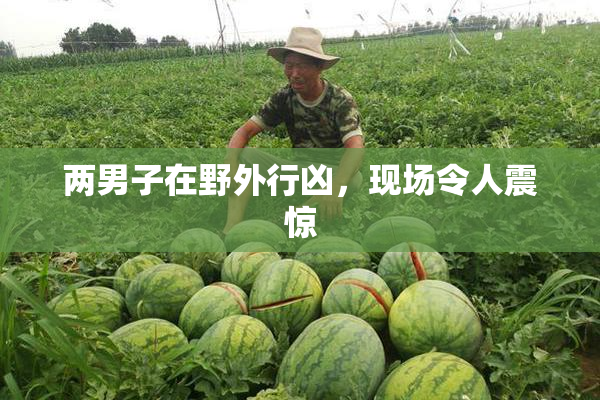 两男子在野外行凶，现场令人震惊