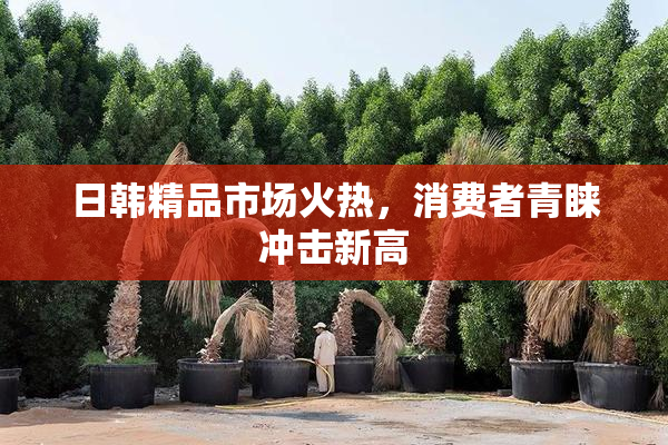 日韩精品市场火热，消费者青睐冲击新高
