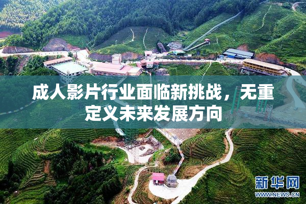 成人影片行业面临新挑战，无重定义未来发展方向