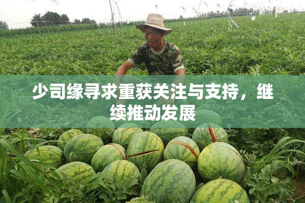 少司缘寻求重获关注与支持，继续推动发展