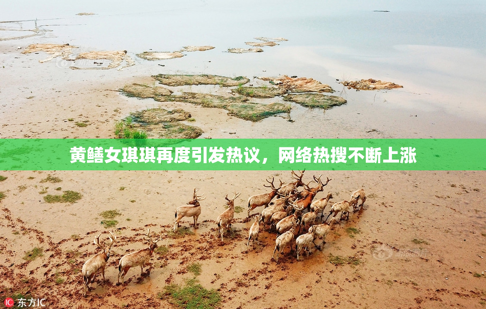 黄鳝女琪琪再度引发热议，网络热搜不断上涨