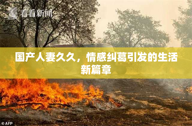 国产人妻久久，情感纠葛引发的生活新篇章
