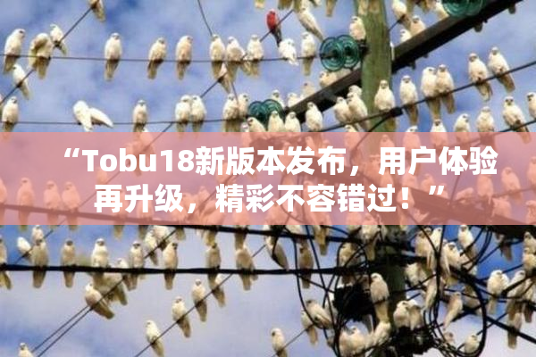 “Tobu18新版本发布，用户体验再升级，精彩不容错过！”