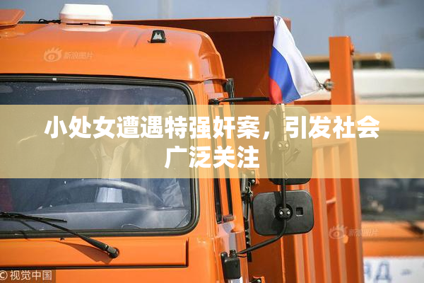 小处女遭遇特强奸案，引发社会广泛关注
