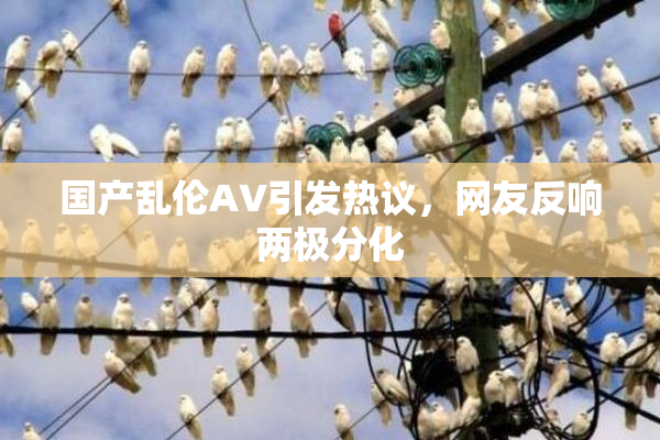 国产乱伦AV引发热议，网友反响两极分化