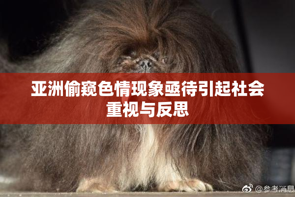 亚洲偷窥色情现象亟待引起社会重视与反思