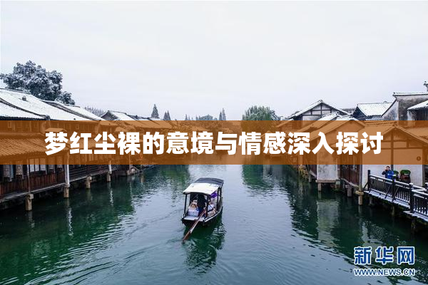 梦红尘裸的意境与情感深入探讨