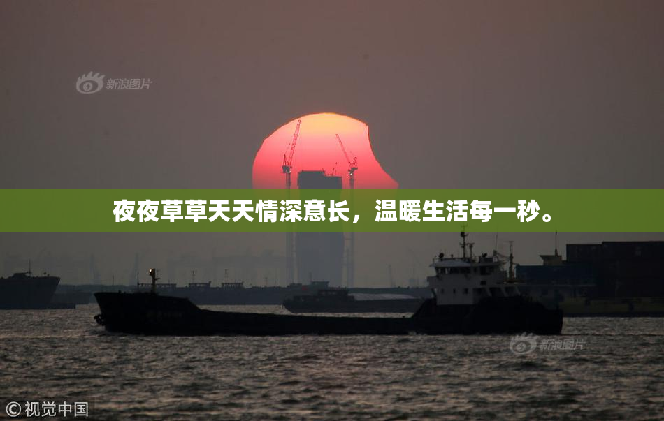 夜夜草草天天情深意长，温暖生活每一秒。