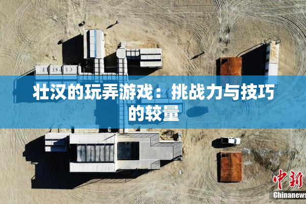 壮汉的玩弄游戏：挑战力与技巧的较量