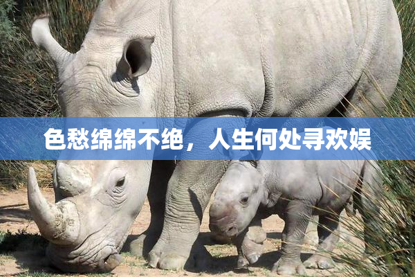 色愁绵绵不绝，人生何处寻欢娱