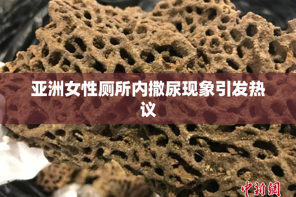 亚洲女性厕所内撒尿现象引发热议