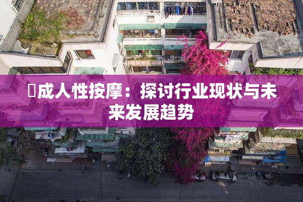 巜成人性按摩：探讨行业现状与未来发展趋势