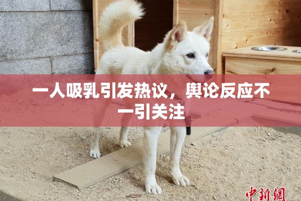 一人吸乳引发热议，舆论反应不一引关注