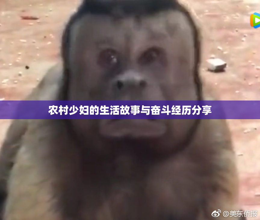 农村少妇的生活故事与奋斗经历分享