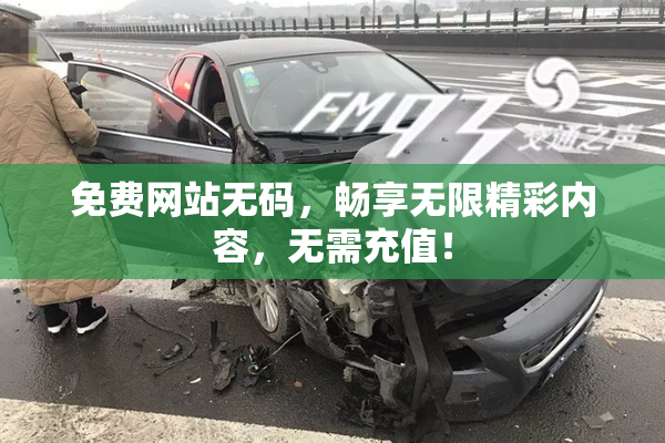 免费网站无码，畅享无限精彩内容，无需充值！