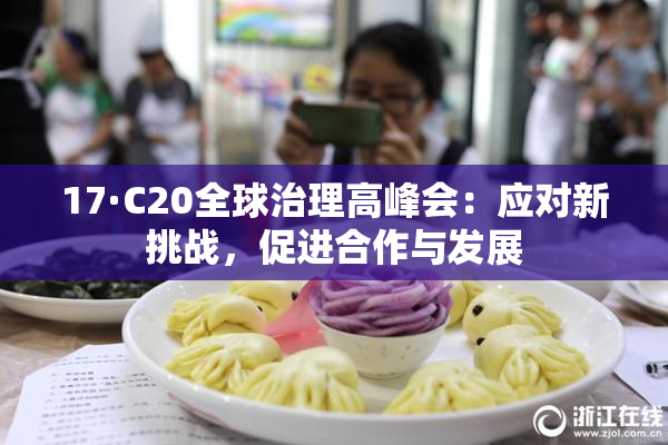 17·C20全球治理高峰会：应对新挑战，促进合作与发展
