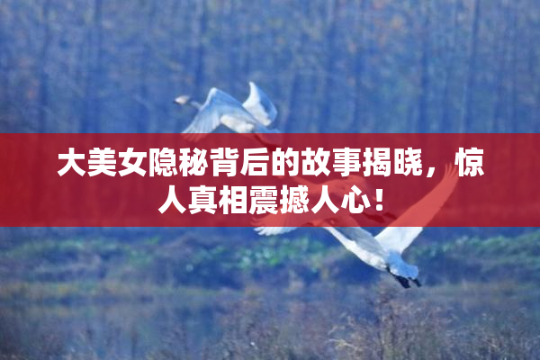 大美女隐秘背后的故事揭晓，惊人真相震撼人心！