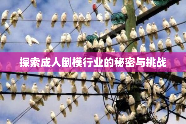 探索成人倒模行业的秘密与挑战