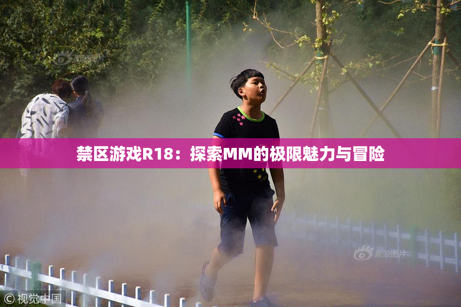 禁区游戏R18：探索MM的极限魅力与冒险