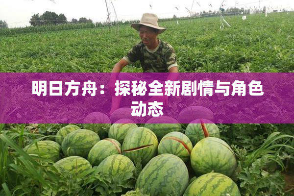 明日方舟：探秘全新剧情与角色动态