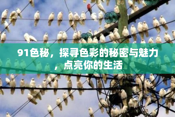 91色秘，探寻色彩的秘密与魅力，点亮你的生活
