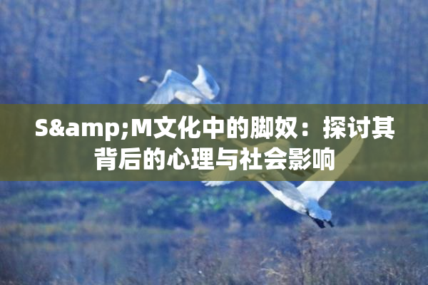 S&M文化中的脚奴：探讨其背后的心理与社会影响