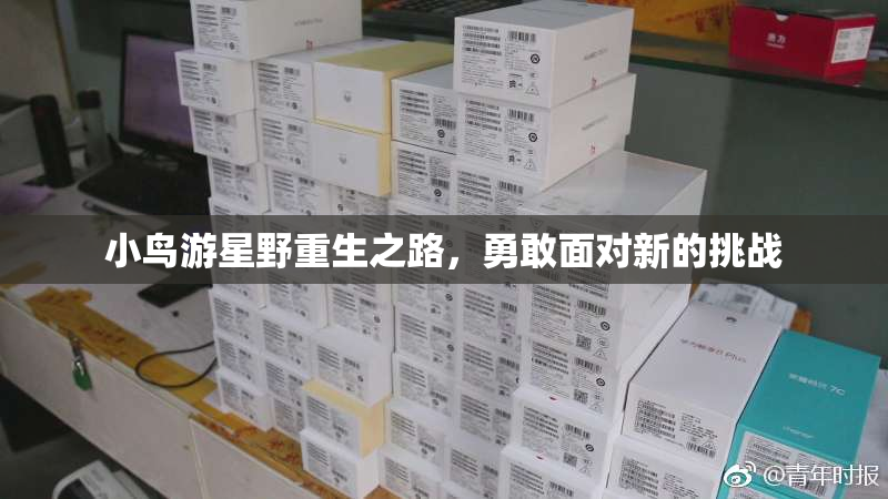 小鸟游星野重生之路，勇敢面对新的挑战