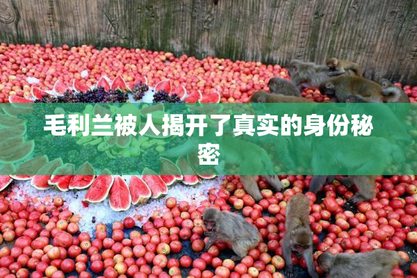 毛利兰被人揭开了真实的身份秘密