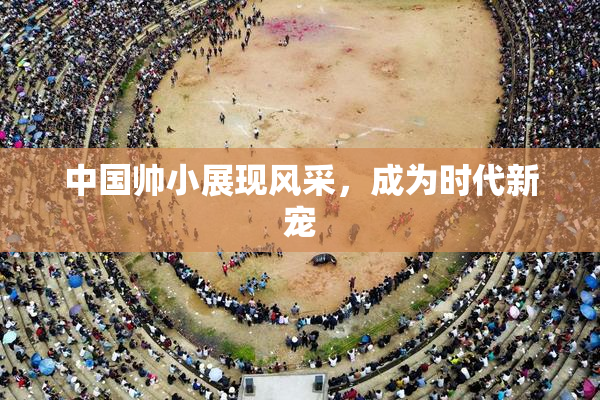 中国帅小展现风采，成为时代新宠