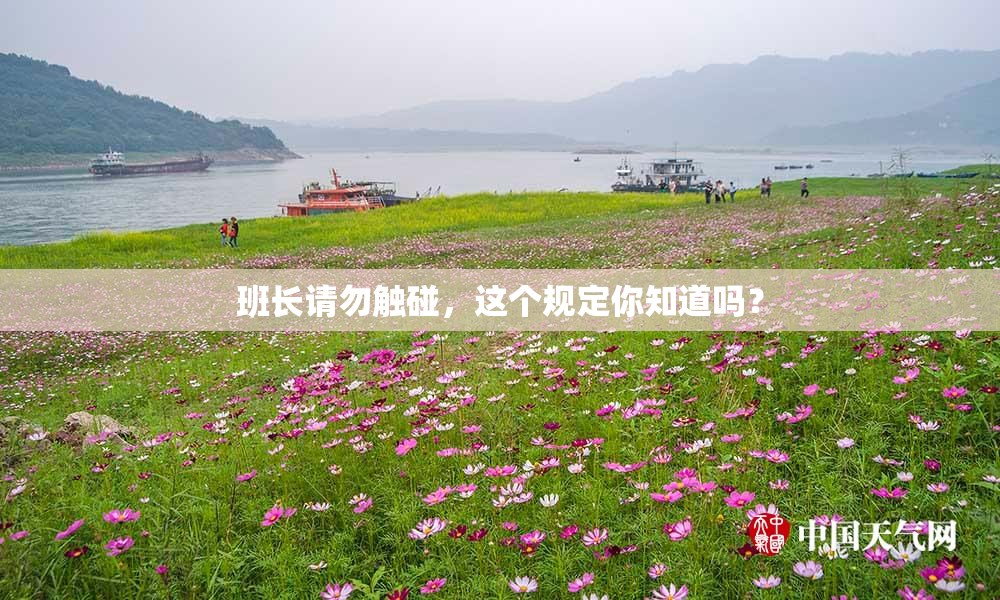 班长请勿触碰，这个规定你知道吗？