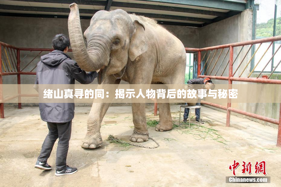 绪山真寻的同：揭示人物背后的故事与秘密