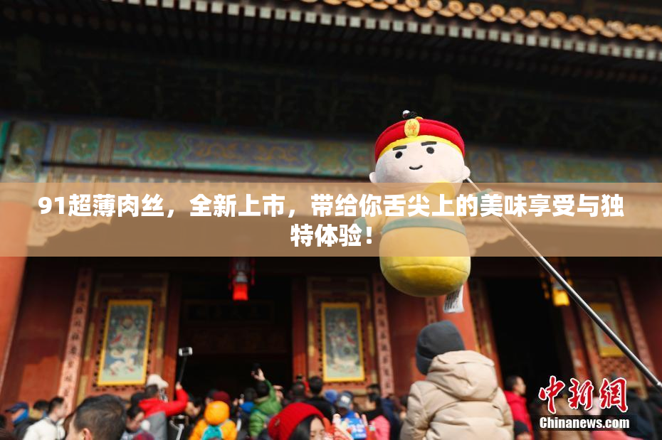 91超薄肉丝，全新上市，带给你舌尖上的美味享受与独特体验！