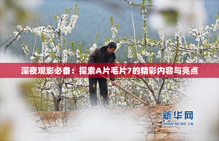 深夜观影必备：探索A片毛片7的精彩内容与亮点