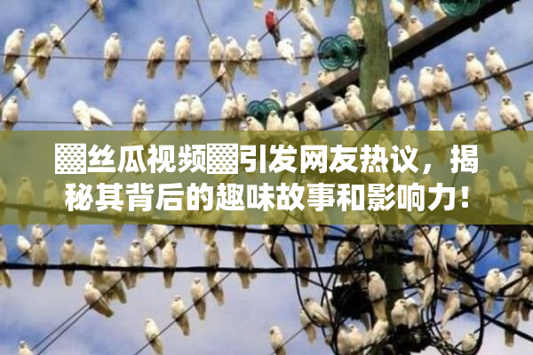 ▓丝瓜视频▓引发网友热议，揭秘其背后的趣味故事和影响力！
