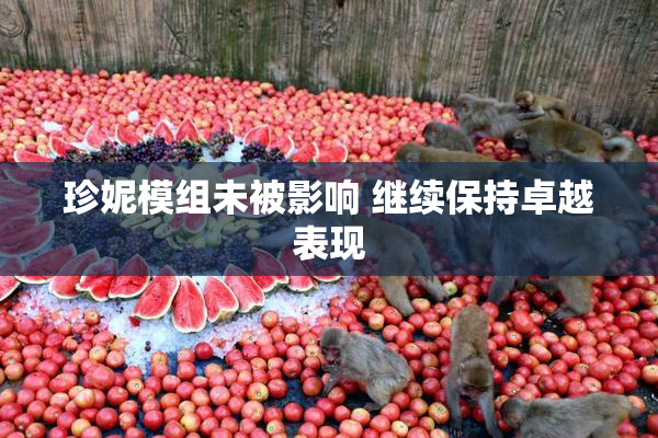珍妮模组未被影响 继续保持卓越表现