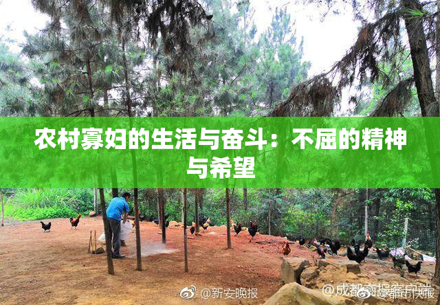 农村寡妇的生活与奋斗：不屈的精神与希望