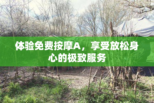 体验免费按摩A，享受放松身心的极致服务