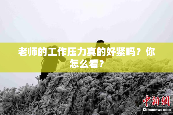 老师的工作压力真的好紧吗？你怎么看？