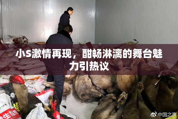 小S激情再现，酣畅淋漓的舞台魅力引热议