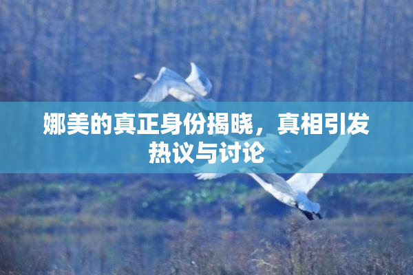 娜美的真正身份揭晓，真相引发热议与讨论